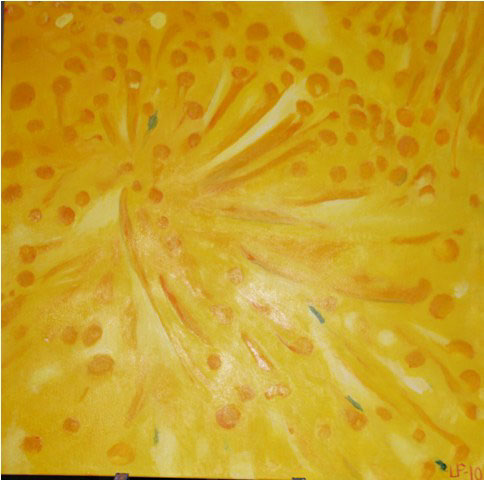 %_tempFileNamemimosas%