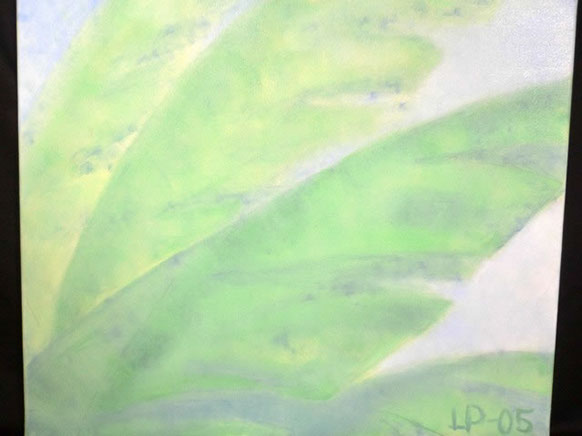 %_tempFileNamepalm_JPG%